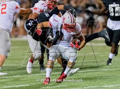 Thumbnail 3 in Judson @ Steele photogallery.