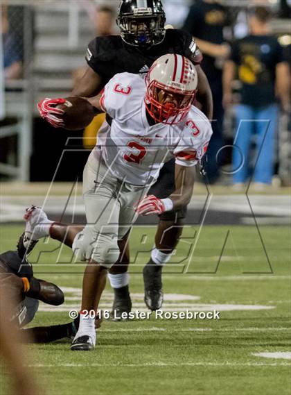 Thumbnail 3 in Judson @ Steele photogallery.