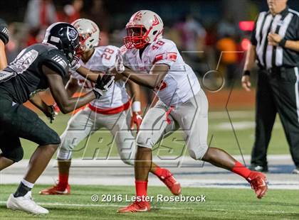 Thumbnail 2 in Judson @ Steele photogallery.