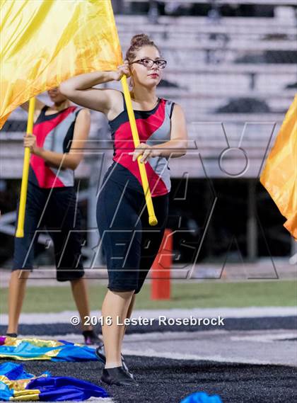 Thumbnail 3 in Judson @ Steele photogallery.
