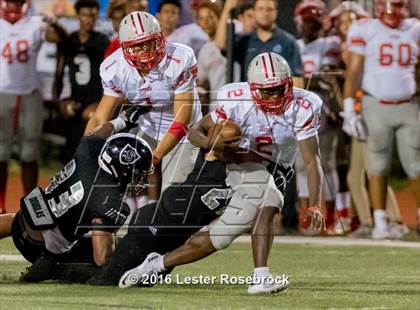 Thumbnail 1 in Judson @ Steele photogallery.