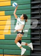 Photo from the gallery "Groves @ Notre Dame Prep"