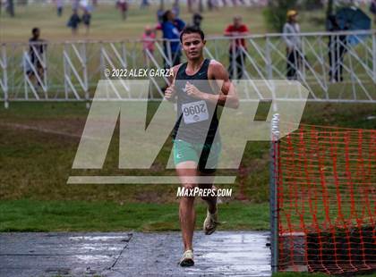 Thumbnail 3 in UIL Cross Country 4A Finals 5K photogallery.