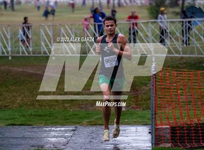 Thumbnail 2 in UIL Cross Country 4A Finals 5K photogallery.