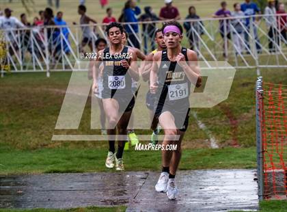 Thumbnail 3 in UIL Cross Country 4A Finals 5K photogallery.