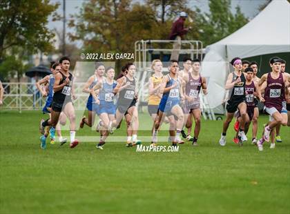 Thumbnail 3 in UIL Cross Country 4A Finals 5K photogallery.