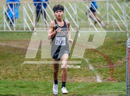 Thumbnail 3 in UIL Cross Country 4A Finals 5K photogallery.