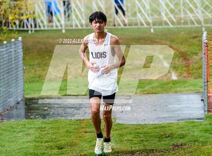 Thumbnail 2 in UIL Cross Country 4A Finals 5K photogallery.