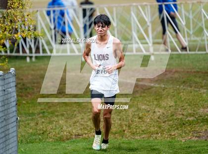 Thumbnail 1 in UIL Cross Country 4A Finals 5K photogallery.