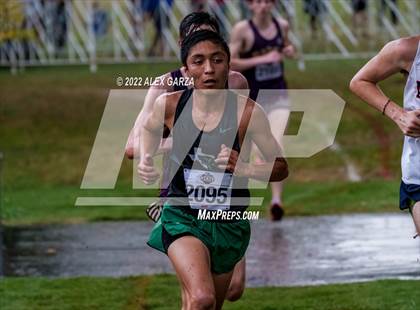 Thumbnail 2 in UIL Cross Country 4A Finals 5K photogallery.
