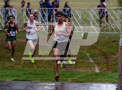 Thumbnail 2 in UIL Cross Country 4A Finals 5K photogallery.