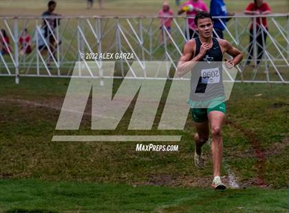 Thumbnail 2 in UIL Cross Country 4A Finals 5K photogallery.