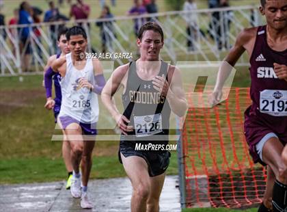 Thumbnail 1 in UIL Cross Country 4A Finals 5K photogallery.