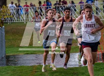 Thumbnail 1 in UIL Cross Country 4A Finals 5K photogallery.