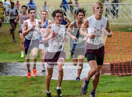 Thumbnail 2 in UIL Cross Country 4A Finals 5K photogallery.