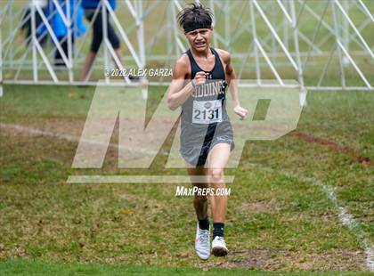 Thumbnail 1 in UIL Cross Country 4A Finals 5K photogallery.