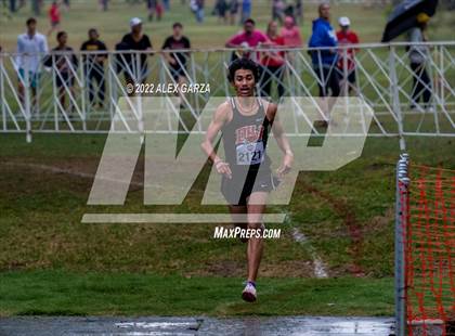 Thumbnail 1 in UIL Cross Country 4A Finals 5K photogallery.