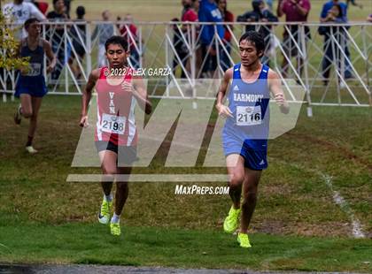 Thumbnail 1 in UIL Cross Country 4A Finals 5K photogallery.