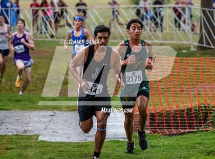 Thumbnail 1 in UIL Cross Country 4A Finals 5K photogallery.