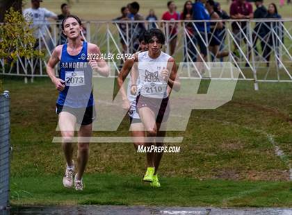 Thumbnail 1 in UIL Cross Country 4A Finals 5K photogallery.