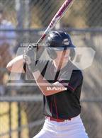 Photo from the gallery "Combs @ Cortez"
