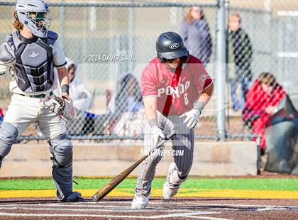 Thumbnail 3 in Ponderosa @ Falcon photogallery.