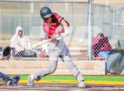 Thumbnail 1 in Ponderosa @ Falcon photogallery.