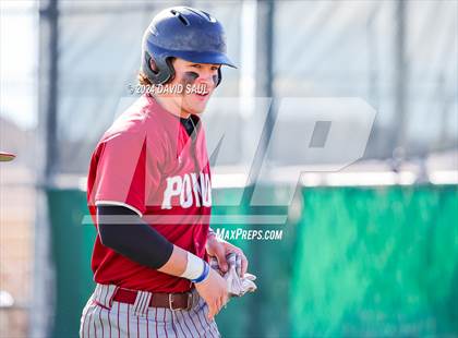 Thumbnail 3 in Ponderosa @ Falcon photogallery.
