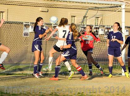Thumbnail 3 in Northwest Christian @ Scottsdale Preparatory Academy photogallery.