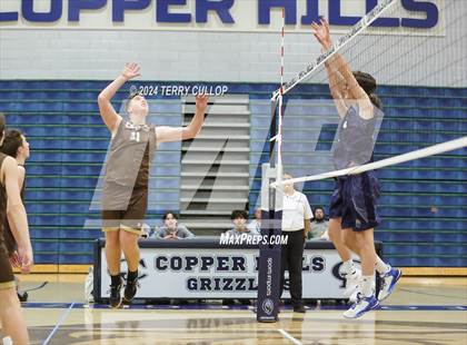 Thumbnail 1 in Davis @ Copper Hills photogallery.