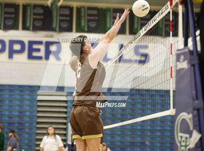Thumbnail 3 in Davis @ Copper Hills photogallery.