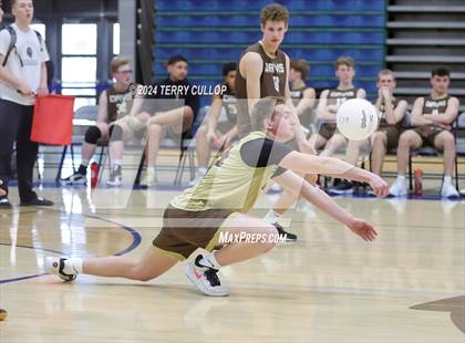 Thumbnail 1 in Davis @ Copper Hills photogallery.