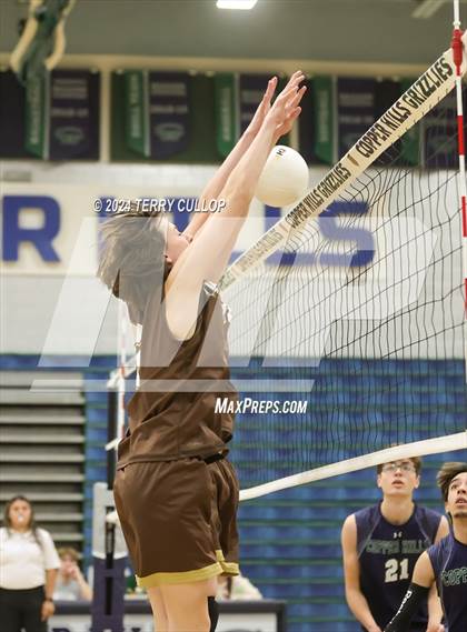 Thumbnail 3 in Davis @ Copper Hills photogallery.