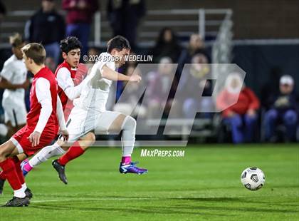 Thumbnail 1 in Edison @ Buchanan RD1 CIF Central Section PLAYOFFS photogallery.