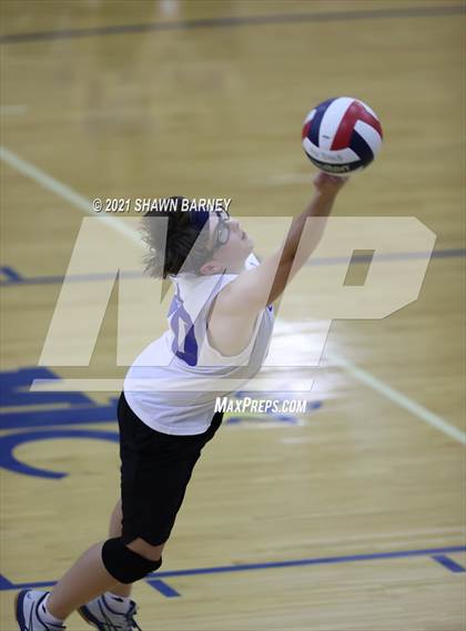 Thumbnail 3 in Westfield @ Carmel photogallery.