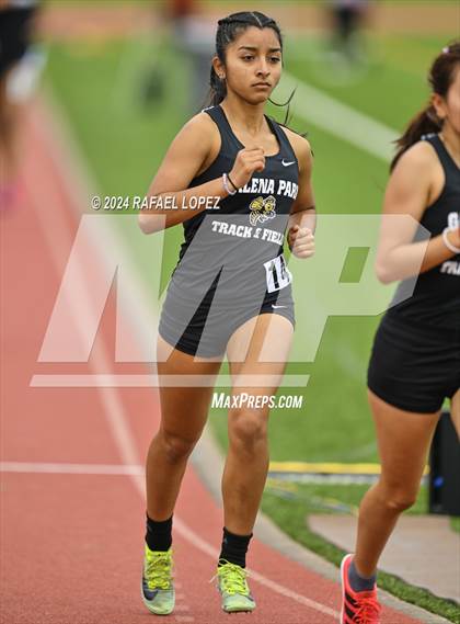 Thumbnail 1 in Houston Relays photogallery.