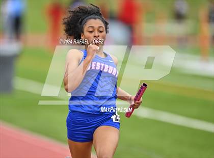 Thumbnail 1 in Houston Relays photogallery.
