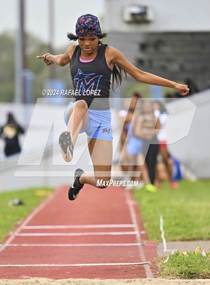 Thumbnail 1 in Houston Relays photogallery.