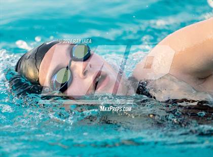 Thumbnail 2 in CIF SJS GSL Swim Meet 2 (Girls) @ Natomas photogallery.