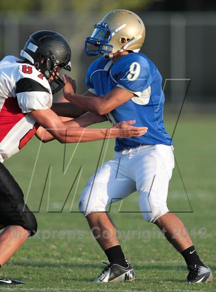 Thumbnail 3 in Middleburg @ Menendez photogallery.