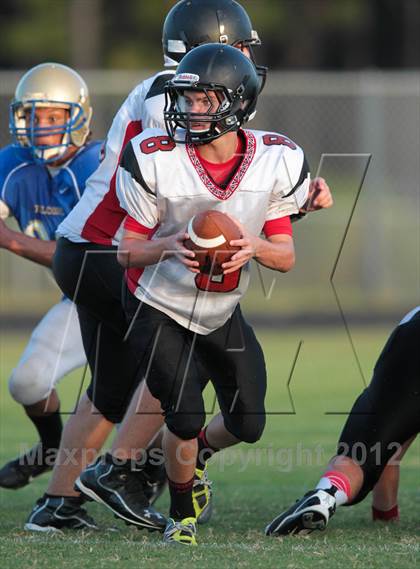 Thumbnail 3 in Middleburg @ Menendez photogallery.