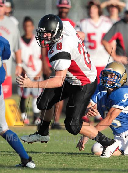 Thumbnail 1 in Middleburg @ Menendez photogallery.