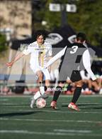 Photo from the gallery "Foothill @ El Dorado"