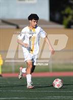 Photo from the gallery "Foothill @ El Dorado"