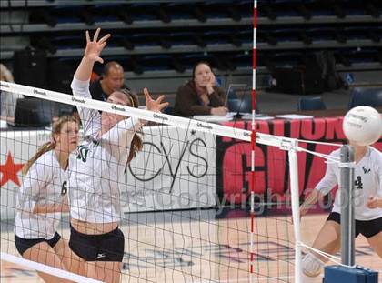 Thumbnail 3 in Homestead vs. La Costa Canyon (CIF State D1 Final) photogallery.