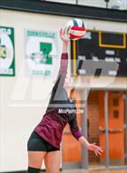 Photo from the gallery "Carmel vs. Assumption"