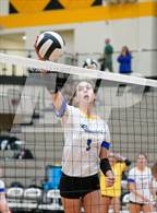 Photo from the gallery "Carmel vs. Assumption"