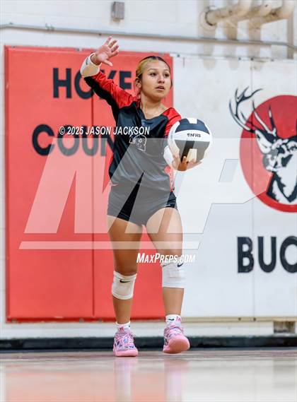 Thumbnail 1 in Seventy-First @ Hoke County photogallery.