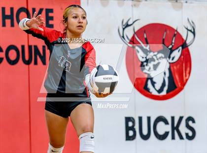 Thumbnail 3 in Seventy-First @ Hoke County photogallery.