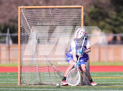 Thumbnail 3 in Grapevine @ Captain Shreve photogallery.